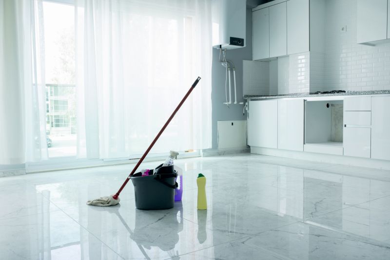 Kitchen Cleaning in Kent, WA